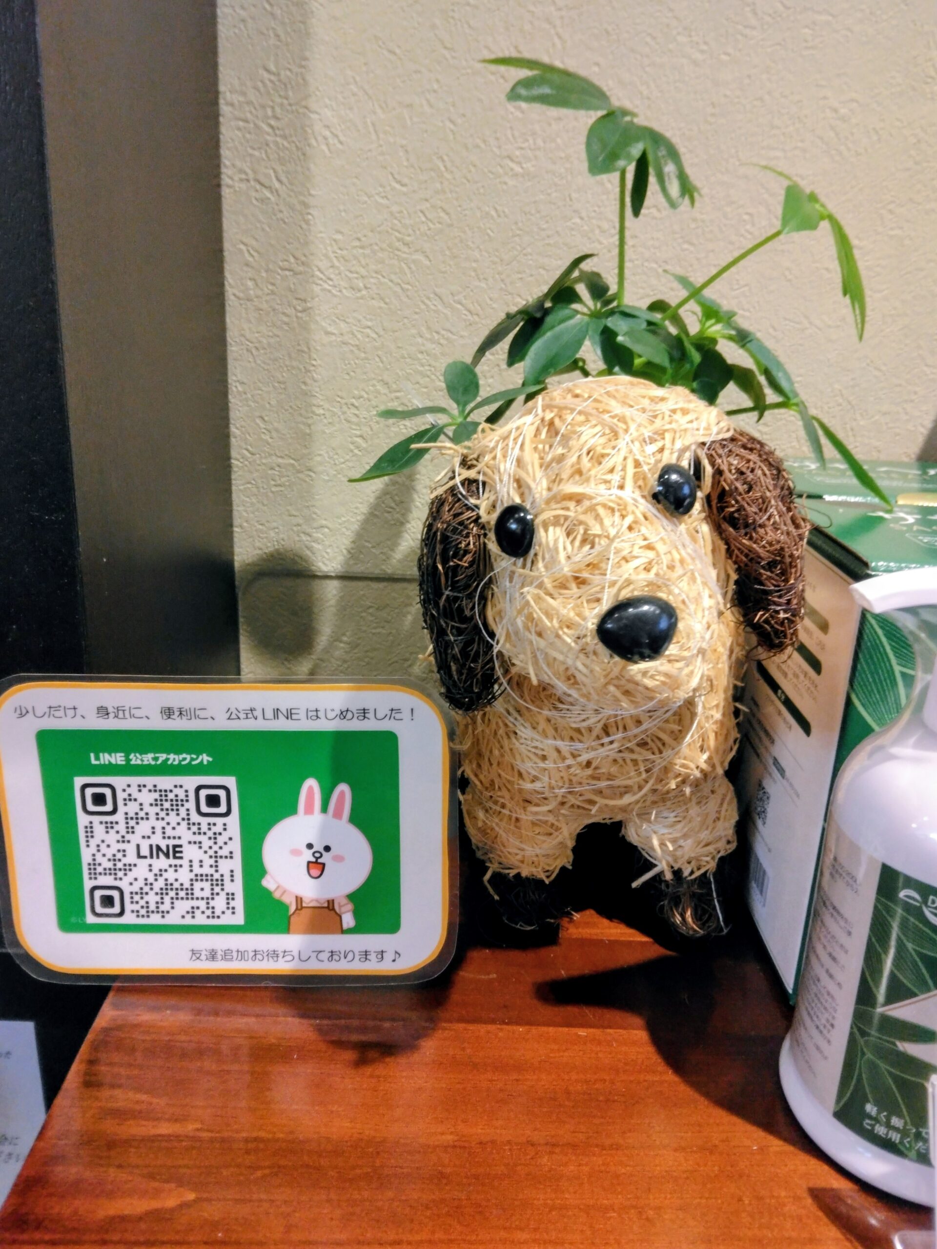 LINE公式アカウント、ようやく準備できました！ | 若草漢方薬局【公式